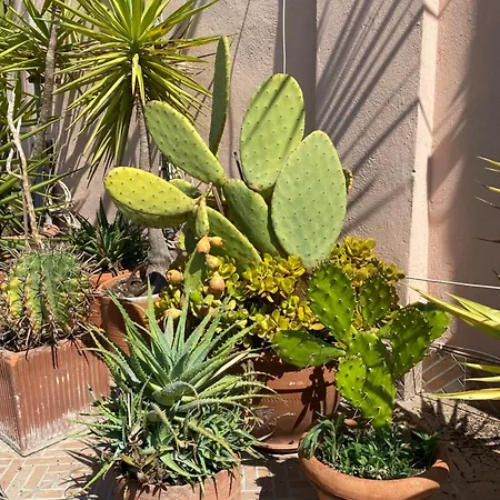 Panoramic Castle Trastevere 罗马