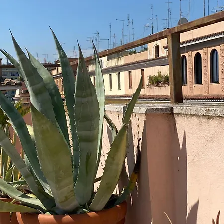 Panoramic Castle Trastevere 公寓 罗马