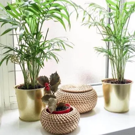 Panoramic Castle Trastevere Рим