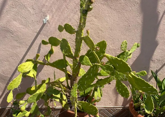 Panoramic Castle Trastevere Appartamento