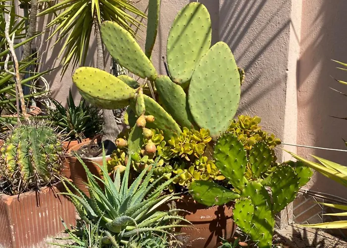 Panoramic Castle Trastevere Roma