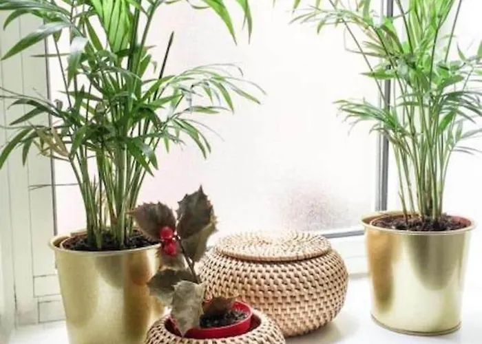 Panoramic Castle Trastevere Rom