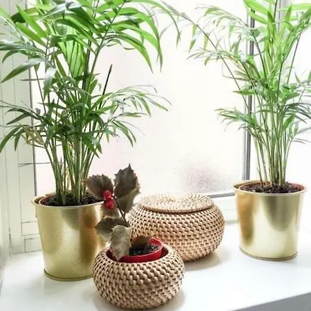 Panoramic Castle Trastevere Appartement