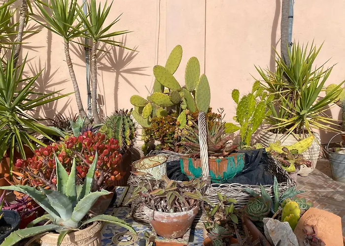 Apartament Panoramic Castle Trastevere Rzym