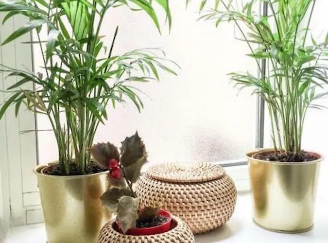 Panoramic Castle Trastevere Apartament